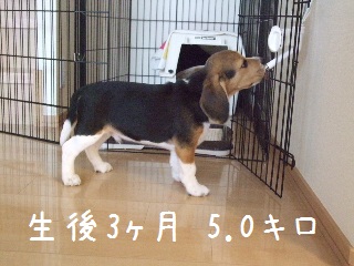 BLOG3539.JPG