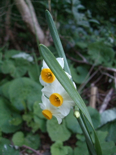 BLOG3545.JPG