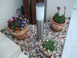 BLOG3549.JPG