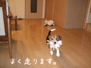 BLOG3573.JPG