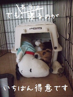 BLOG3574.JPG