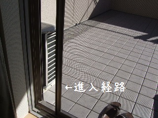 BLOG3624.JPG