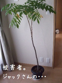 BLOG3625.JPG