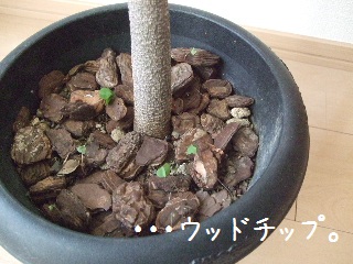 BLOG3627.JPG