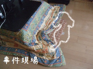 BLOG3629.JPG