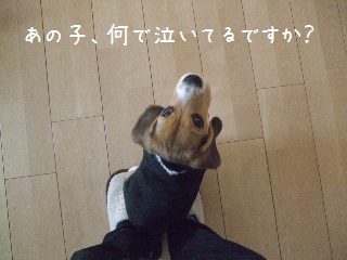 BLOG3735.JPG