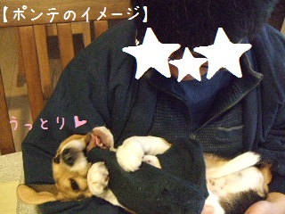 BLOG3869.JPG