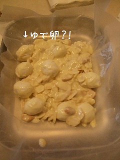 BLOG3890.JPG