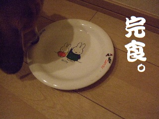 BLOG3947.JPG