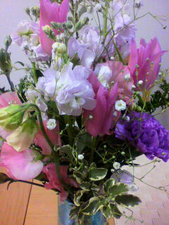 2009031319160000.jpg