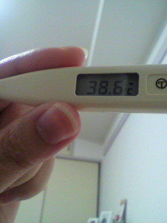 2009040719470000.jpg