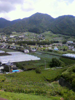 2009081412330000.jpg