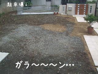 20101022.jpg