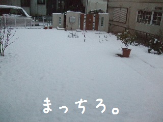 BLOG3949.JPG